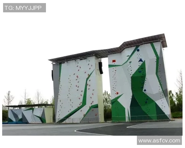 极限运动战术解析南京极限运动队的全方位压制与协同作战体系探讨 极限运动战术解析南京极限运动队的全方位压制与协同作战体系探讨