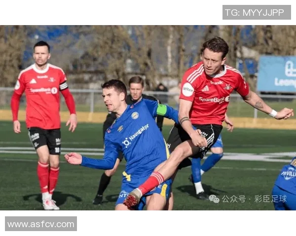 2019年莫尔德对阵罗森博格精彩回顾与赛季分析